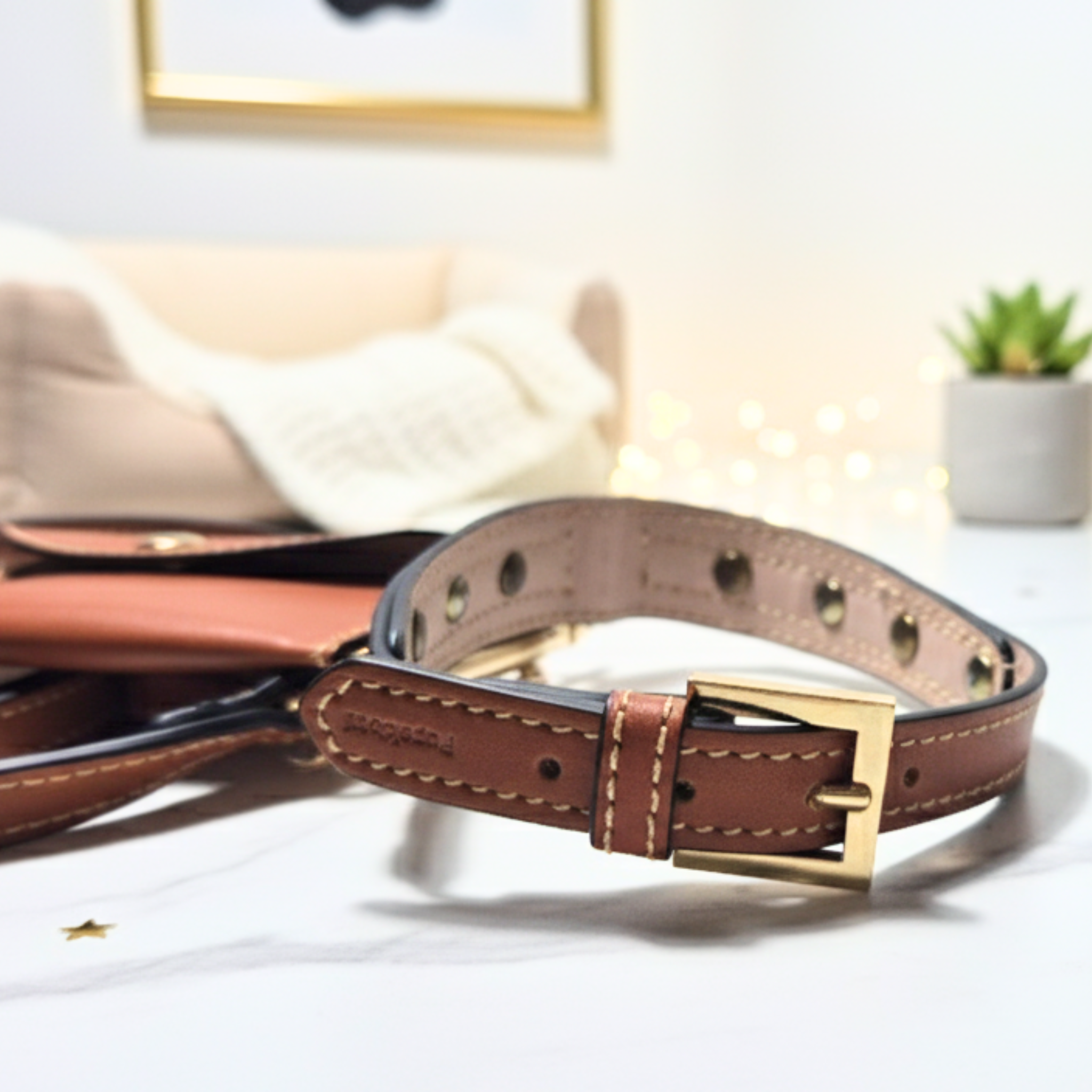 Set Collare con Cristalli e Guinzaglio in Pelle per Cani